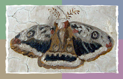 Pear Peacock Moth (Großes Wiener Nachtpfauenauge)
